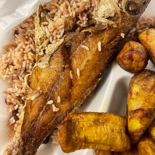 Red Snapper Fish